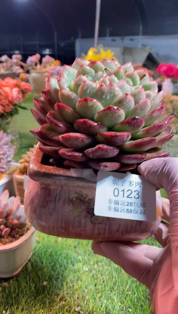 【闪购商品】0123a