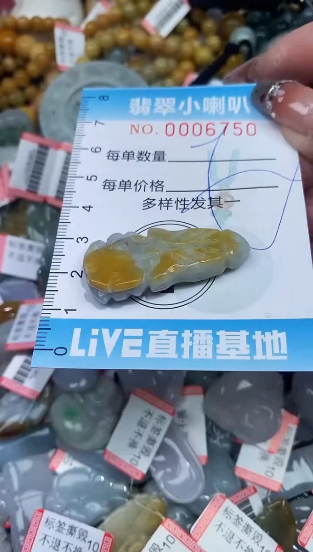 【闪购商品】翡翠颈饰未镶嵌闪购0006750多样性发其一