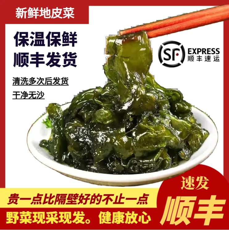 【顺丰保温发货】新鲜地皮菜雷公菌地软地衣湖南特色菜免洗非干货