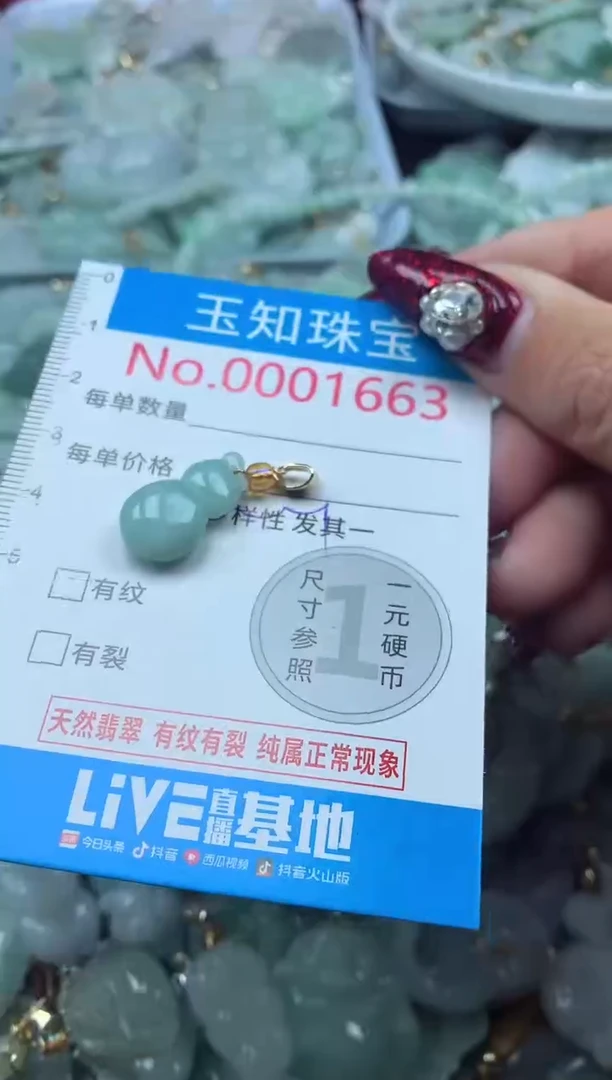 颈饰未镶嵌翡翠1663