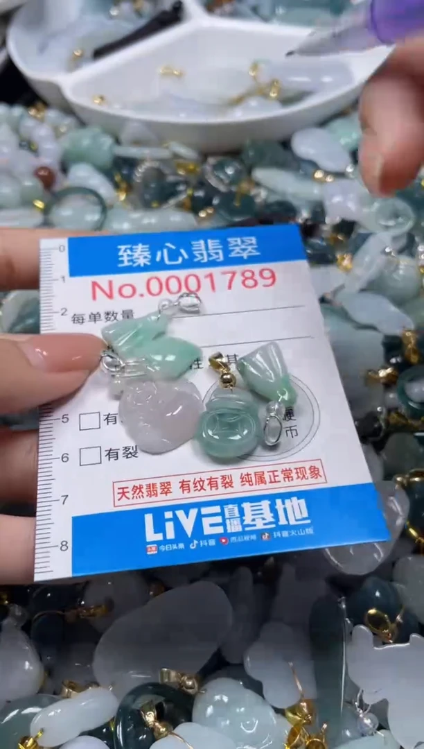 颈饰未镶嵌翡翠1789