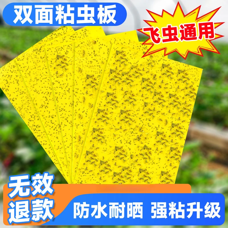 粘虫板家用黄板双面粘虫板小飞虫粘板小黑飞诱虫板大棚果蝇诱捕器