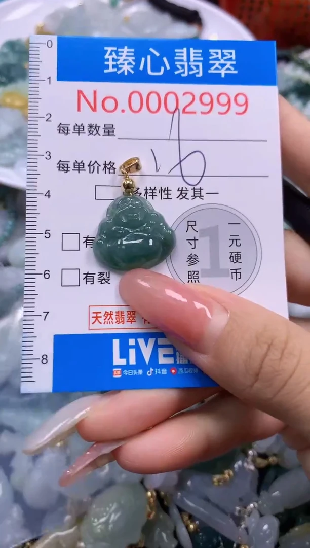 翡翠未镶嵌颈饰2999