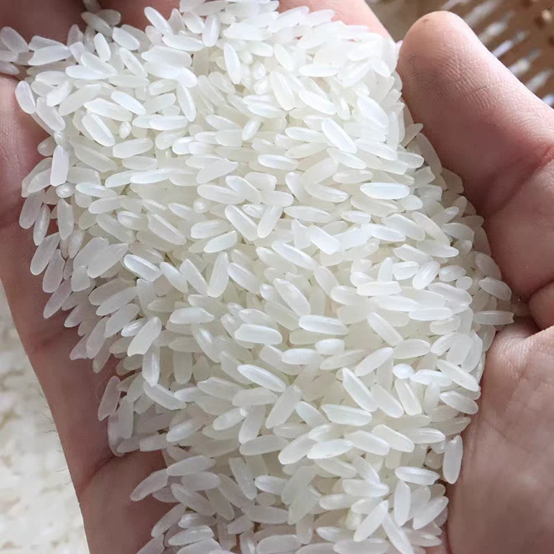 精选云南【饭香大米】非香菇