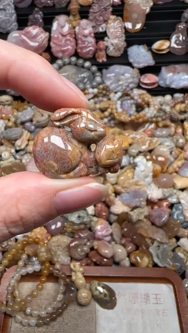 颈饰未镶嵌硅化珊瑚（珊瑚玉）225