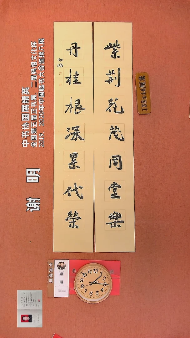【闪购商品】书法65         谢明书法作品