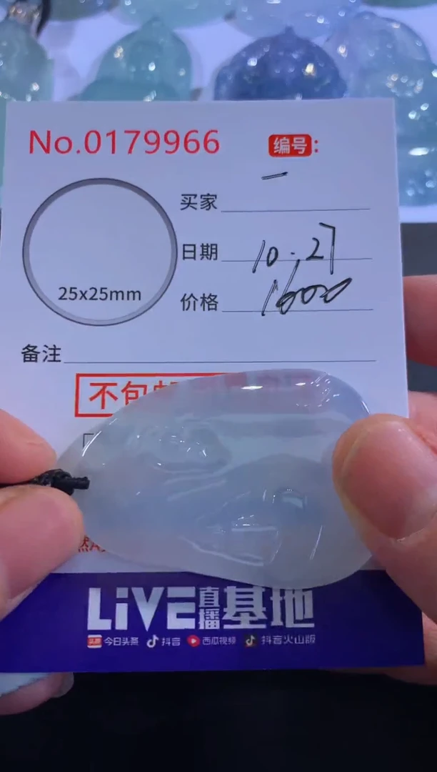 颈饰未镶嵌翡翠一****』！