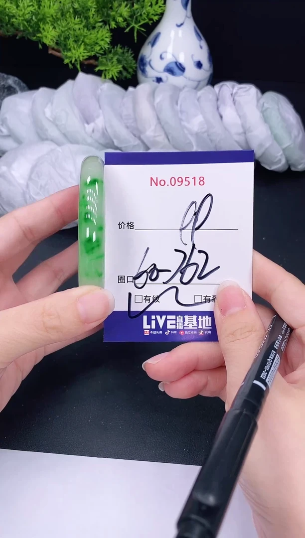 未镶嵌手镯翡翠9518