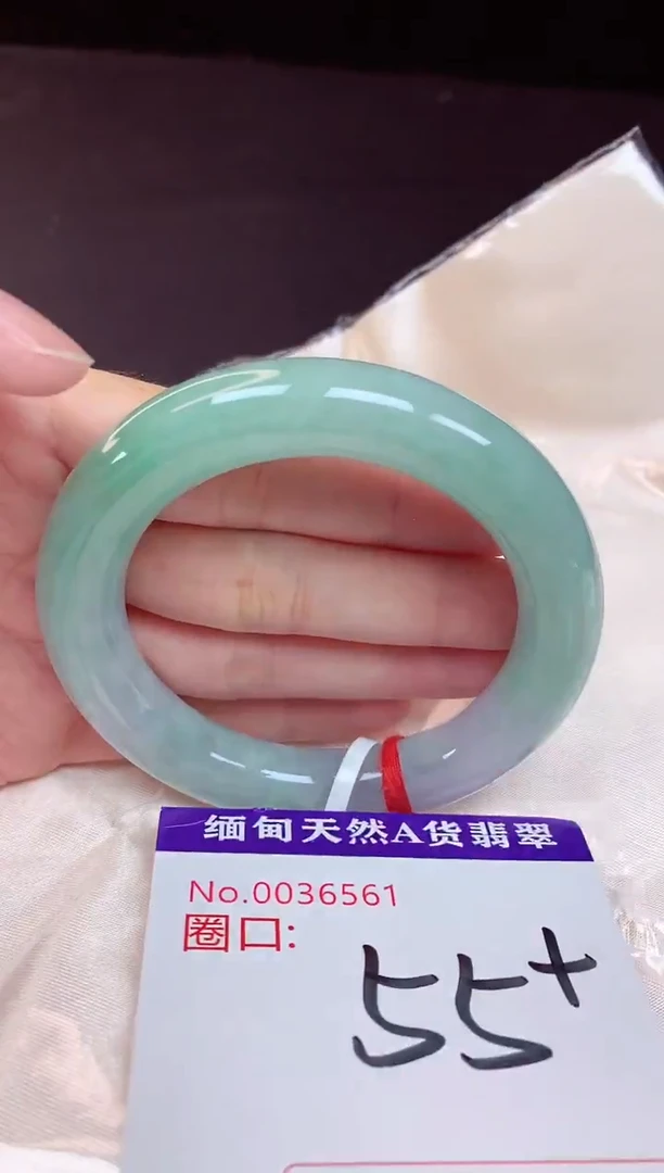 未镶嵌手镯翡翠55