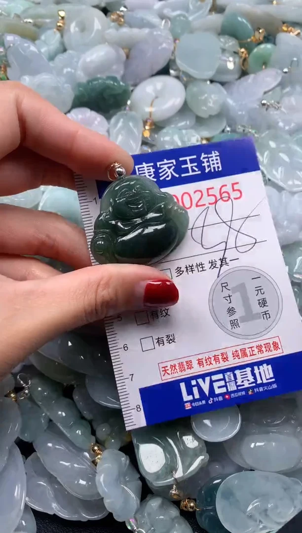 颈饰未镶嵌翡翠2565