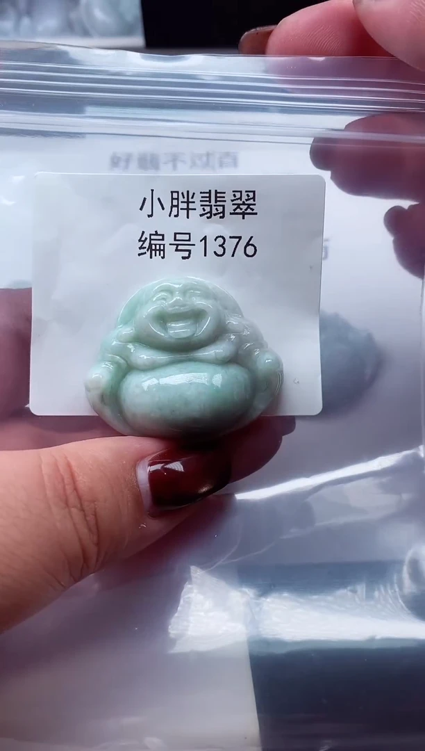 颈饰未镶嵌翡翠缅甸天然A货翡翠1376