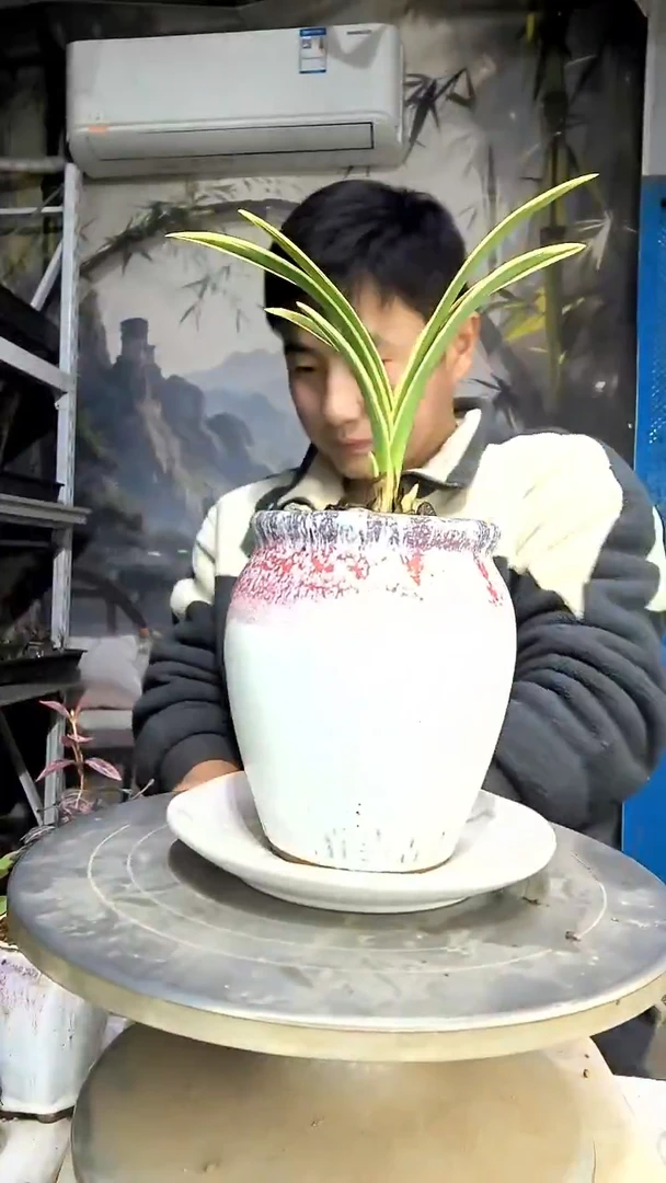 池****n中青园艺一物一拍花445