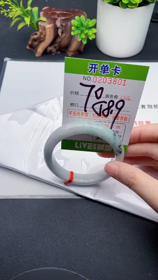 未镶嵌手镯翡翠02天然翡翠A货