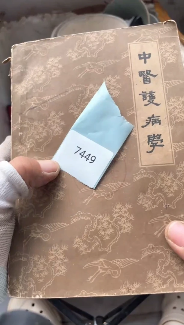 器5566778825056067449