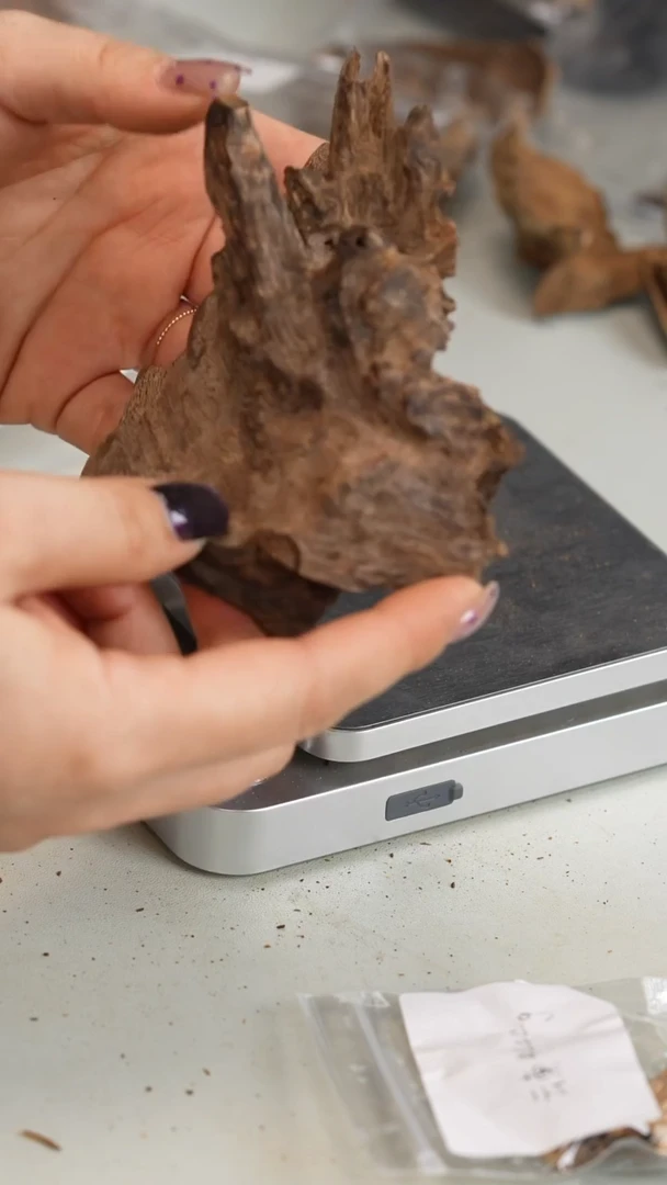 沉香沉香碎屑木**®越南土沉 52.6g