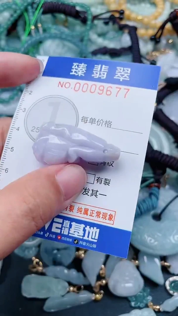 颈饰未镶嵌翡翠.0009677