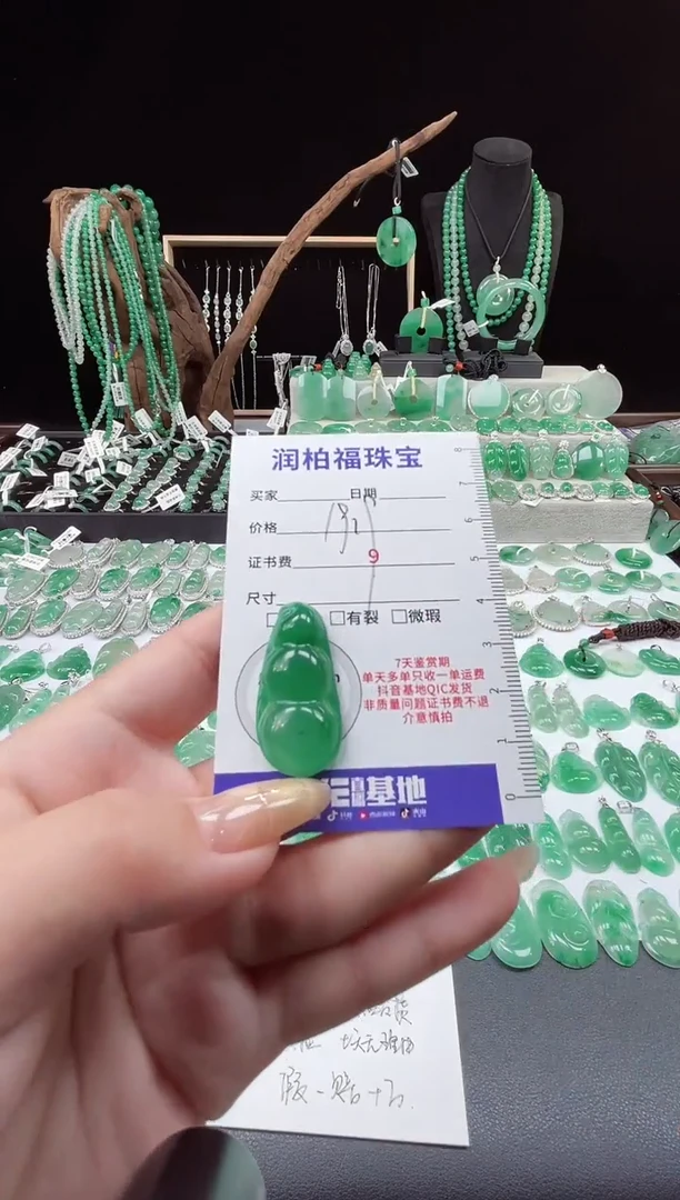 吊坠(赠链)未镶嵌石英质玉（非洲翠）20.12豆子