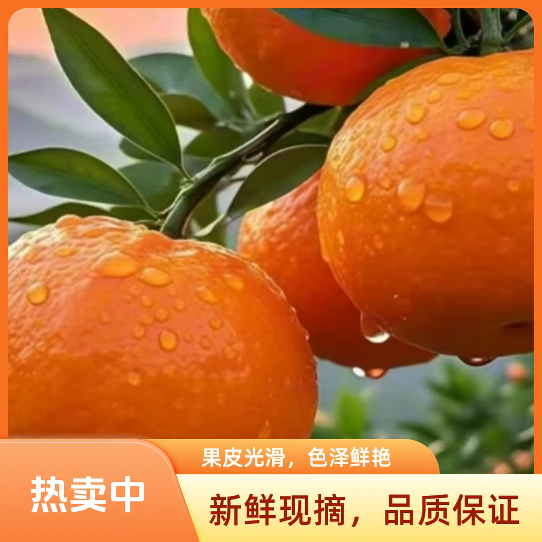 来自云南的明日见柑橘5斤新鲜柑橘四川省眉山市