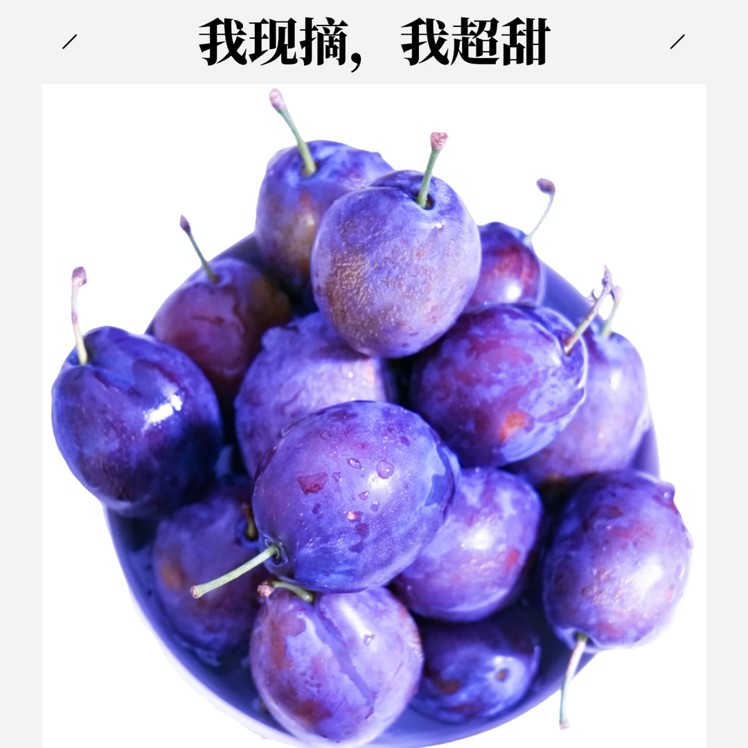 新鲜采摘特级蓝蜜西梅，饱满多汁香甜可口孕妇水果