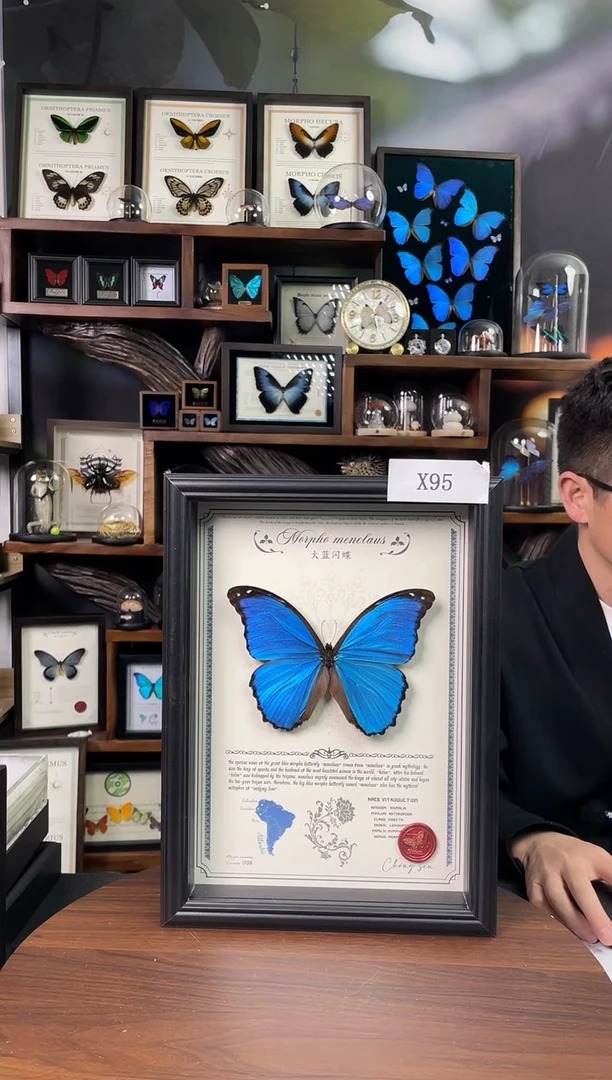 大蓝闪蝶-豪华版【A4欧式框】X95微瑕