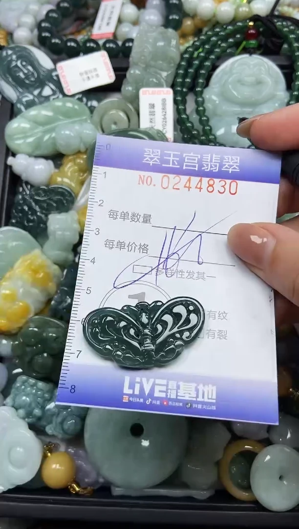 颈饰未镶嵌翡翠闪购C0244830多样性发其一