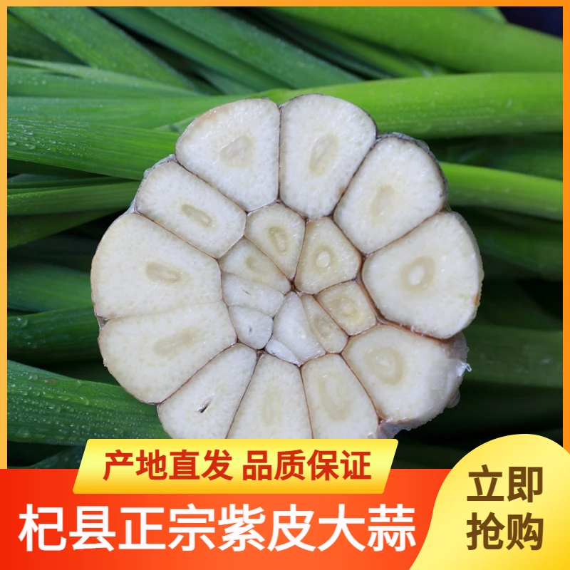 5.5-6大蒜1斤