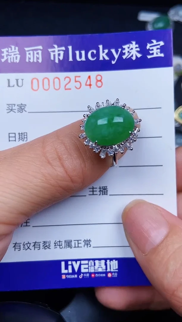 翡翠银S925镶嵌颈饰2548