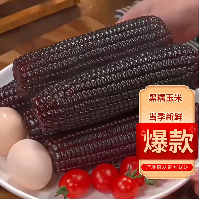 黑糯玉米棒250g起十根软糯拉丝非转基因真空即食粗粮新鲜