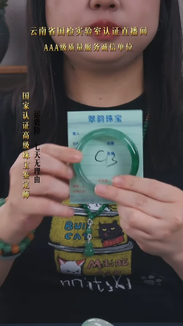 石英质玉（非洲翠）手镯未镶嵌A货非洲翠手镯