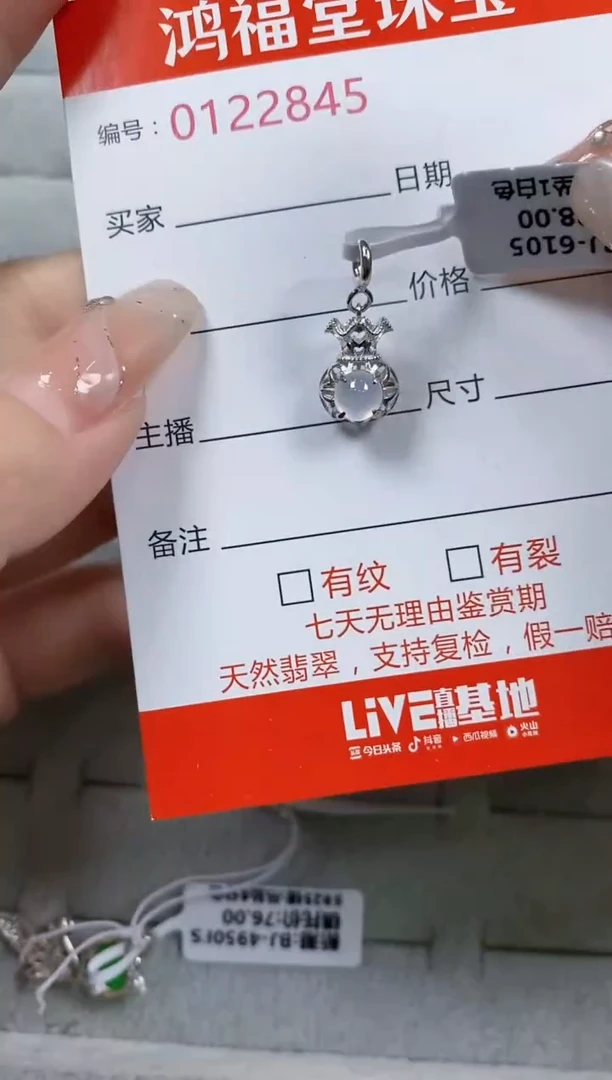 翡翠银S925镶嵌颈饰2845