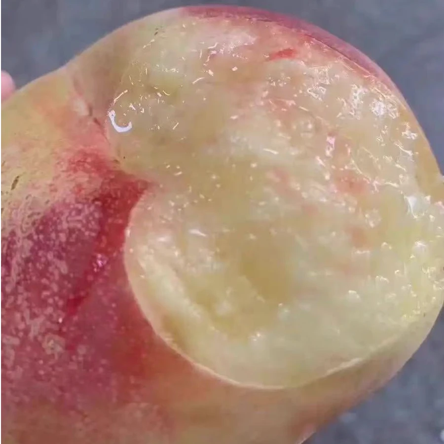 正宗南汇大团蜜露水蜜桃 当季时令水果 顺丰包邮