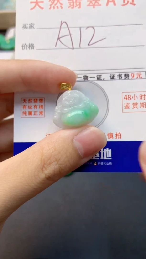 颈饰未镶嵌翡翠天然缅甸A货翡翠