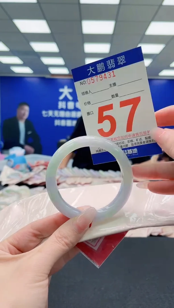 未镶嵌手镯翡翠AAAAAAAAA
