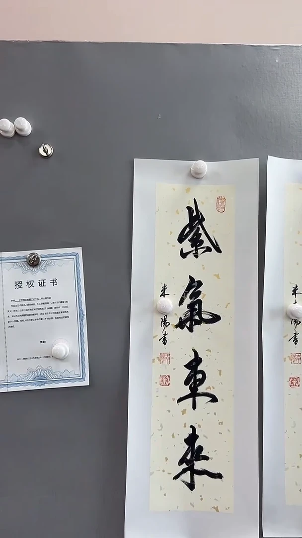 【闪购商品】书法雅艺典藏文化书法