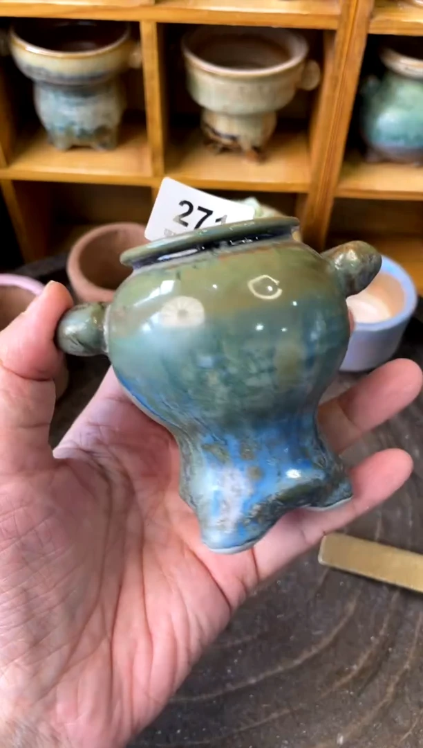 271【多肉花盆多肉盆】