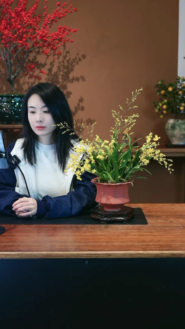 全部花朵黄梦香盆景盆景盆景