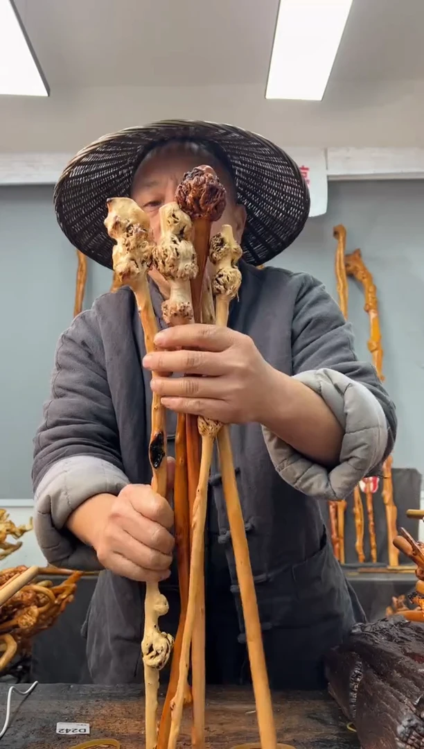 【闪购商品】黑果木其他黑果木259