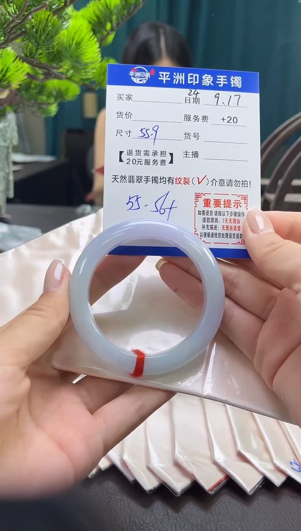 未镶嵌手镯翡翠(有鉴赏期)23