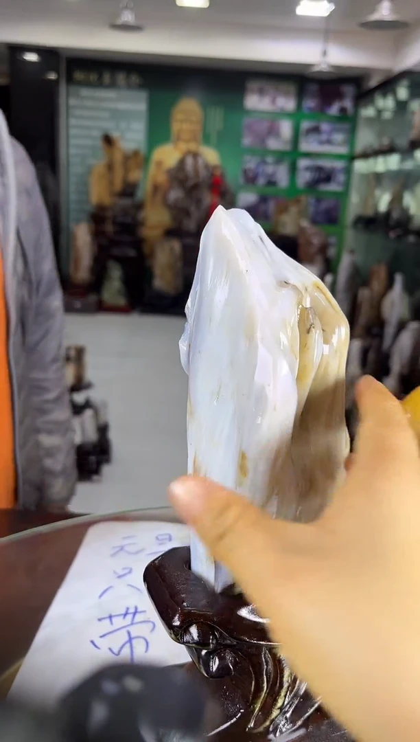 未镶嵌珠宝奇石硅化玉缅甸天然树化玉精品居家摆件