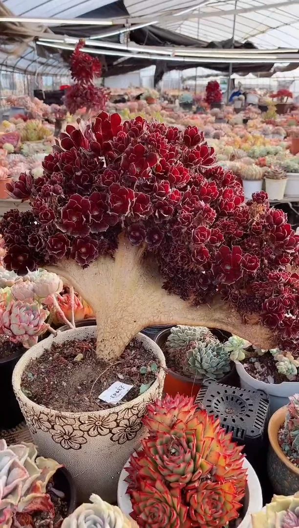 【闪购商品】23143