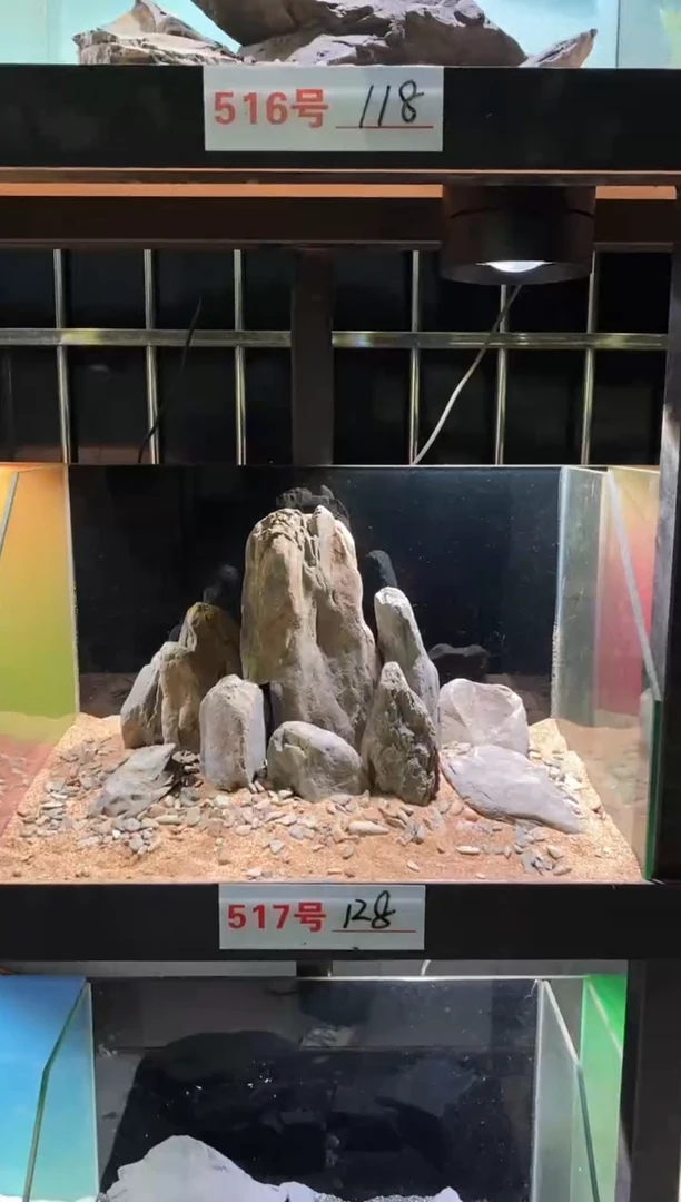 517号鱼缸造景（不含底砂）
