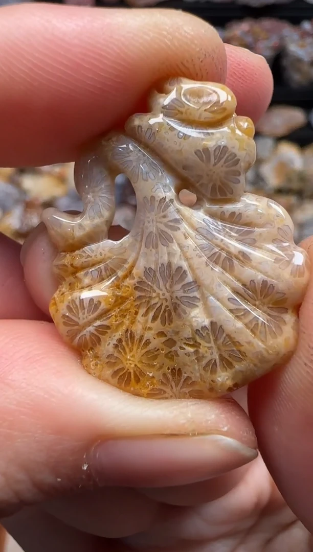 【闪购商品】硅化珊瑚（珊瑚玉）颈饰未镶嵌761