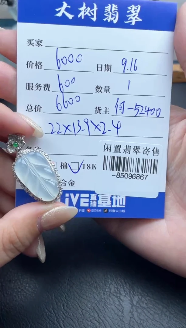 颈饰18K金镶嵌翡翠多人-85096867