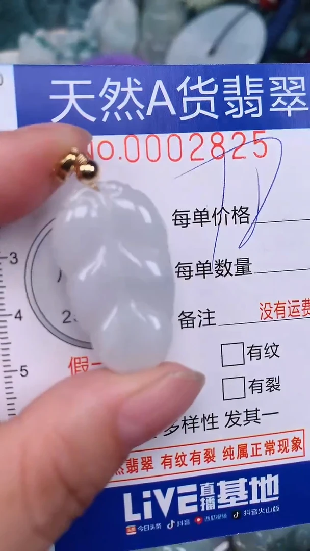 翡翠未镶嵌颈饰...0002825