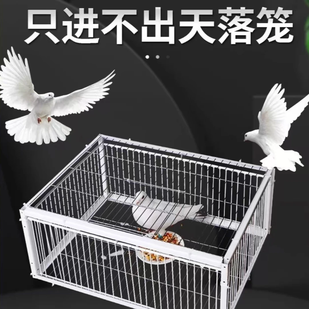落笼加密只进不出镀锌防锈加粗加密鸽子笼户外养殖场适用