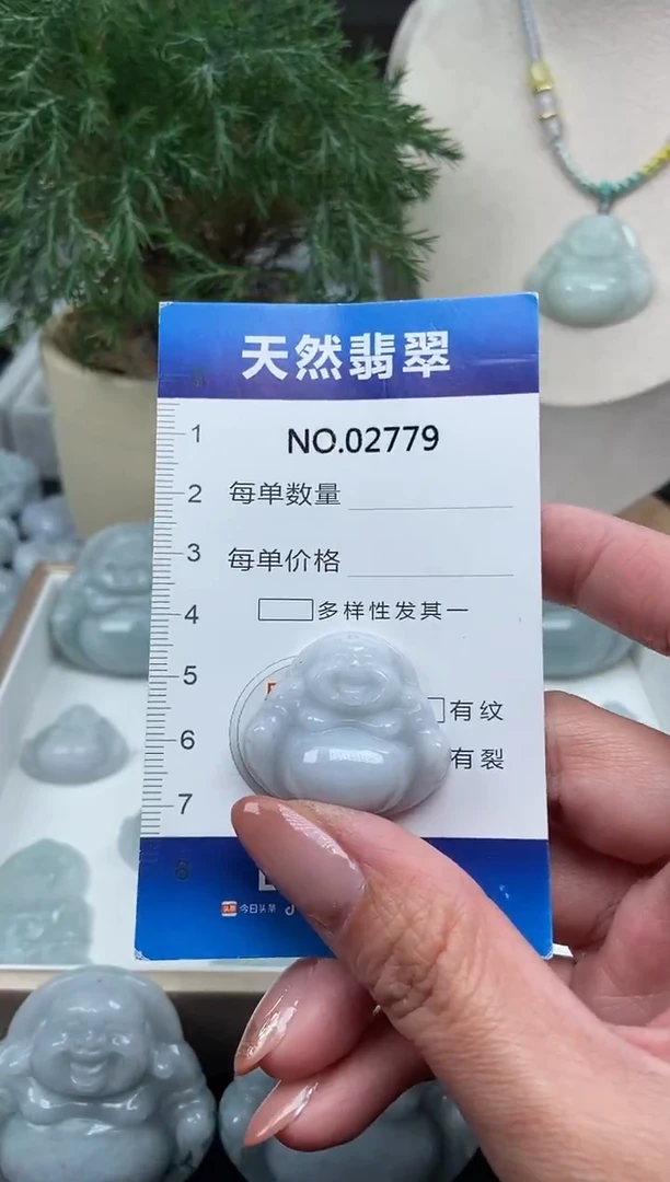 颈饰未镶嵌翡翠纯天然A货翡翠2779