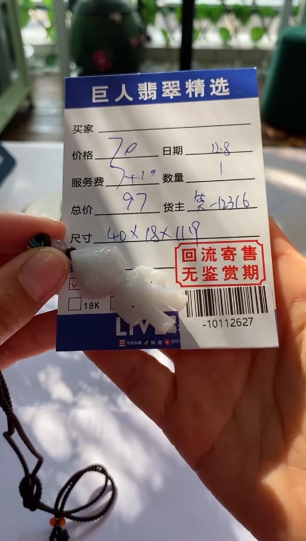 【闪购商品】翡翠颈饰未镶嵌多人-10112627