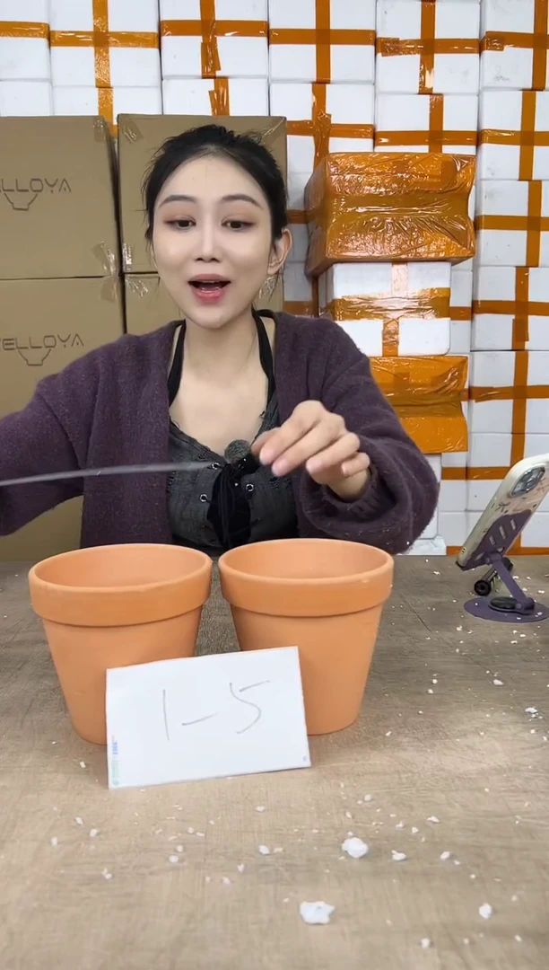 花盆花盆小号01.01--5