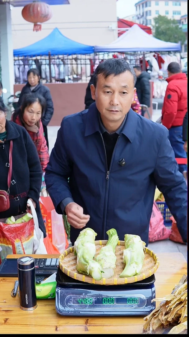 中国大陆农家菜心5斤