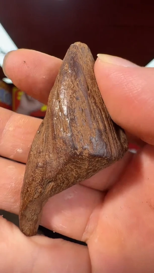 沉香吊坠g12顺化多样性发一